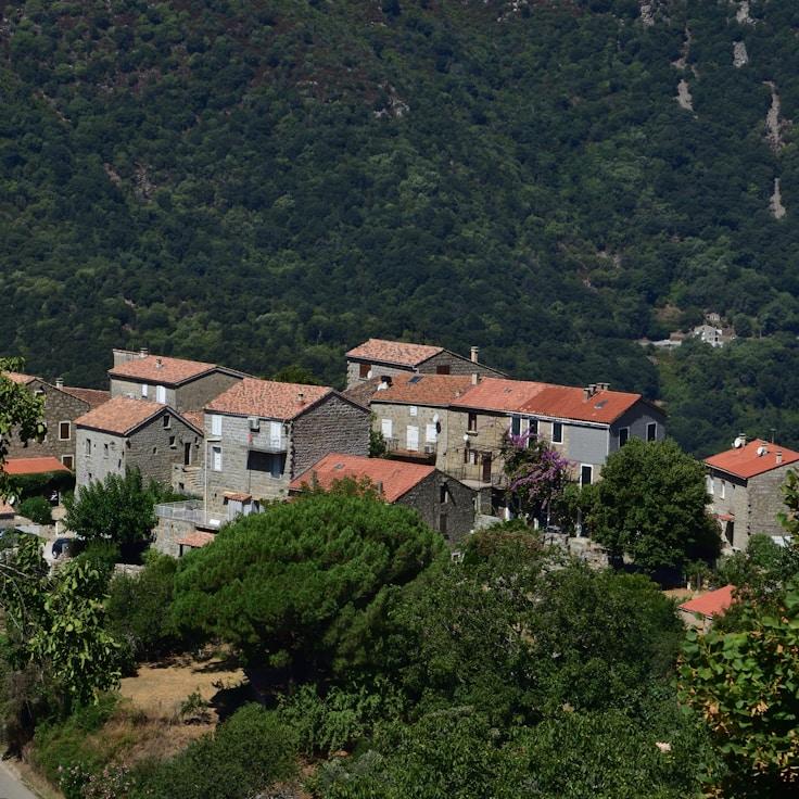 Family terraces and cafés for calm evenings in New York